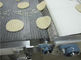 Дизайна гибкого трубопровода конвейерной ленты еды сота выпечки печенья корозия плоского анти-